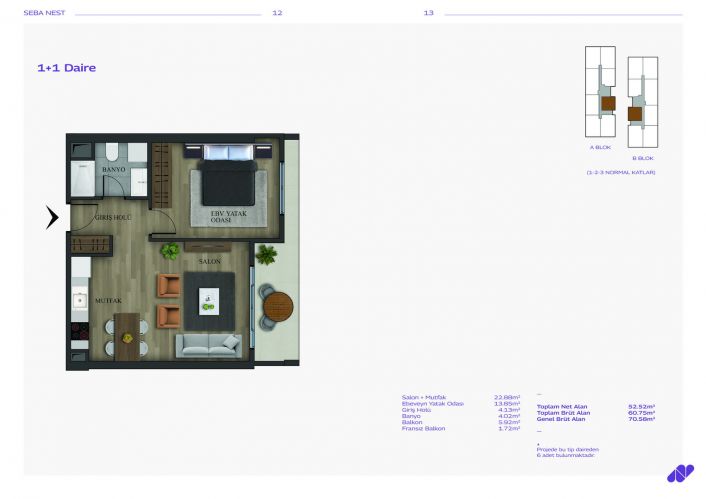 Seba Nest (Luxury Apartments with Social Facilities in Kağıthane)