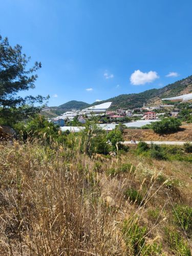 Single Title Field for Sale in Alanya