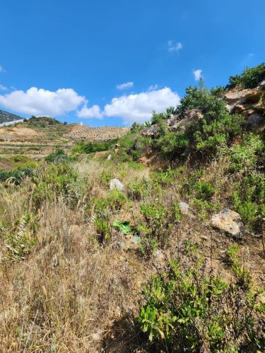 Single Title Field for Sale in Alanya