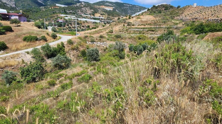 Single Title Field for Sale in Alanya