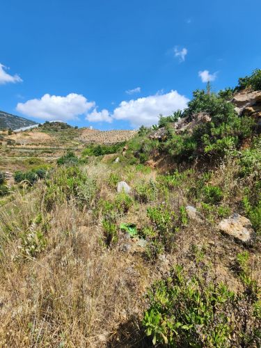 Single Title Field for Sale in Alanya