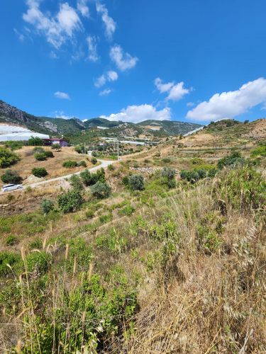 Single Title Field for Sale in Alanya