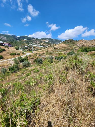 Single Title Field for Sale in Alanya