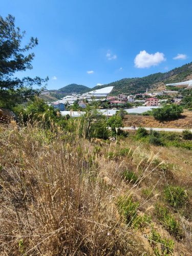 Single Title Field for Sale in Alanya